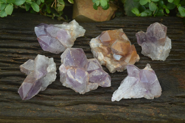 Natural Jacaranda Amethyst Clusters x 6 From Mumbwa, Zambia