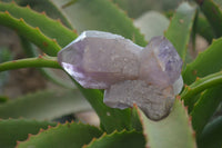 Natural Jacaranda Amethyst Clusters x 6 From Mumbwa, Zambia