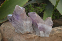 Natural Jacaranda Amethyst Clusters x 6 From Mumbwa, Zambia