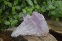 Natural Jacaranda Amethyst Clusters x 6 From Mumbwa, Zambia