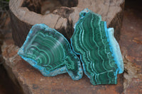 Polished Malacolla Slices x 6 From Kalukundi Mine, Congo