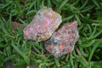 Natural Rhodonite Cobbed Specimens x 12 From Zimbabwe