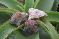 Natural Rhodonite Cobbed Specimens x 12 From Zimbabwe