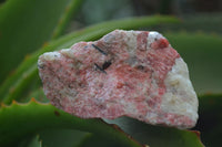 Natural Rhodonite Cobbed Specimens x 12 From Zimbabwe