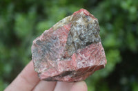 Natural Rhodonite Cobbed Specimens x 12 From Zimbabwe