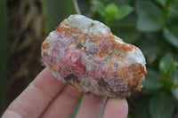 Natural Rhodonite Cobbed Specimens x 12 From Zimbabwe