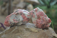 Natural Rhodonite Cobbed Specimens x 12 From Zimbabwe