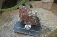 Natural Rhodonite Cobbed Specimens x 8 From Zimbabwe