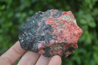 Natural Rhodonite Cobbed Specimens x 8 From Zimbabwe