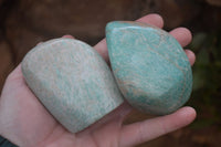 Polished Amazonite Standing Free Forms x 6 From Zimbabwe