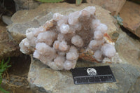 Natural Ametrine Spirit Quartz Cluster x 1 From Boekenhouthoek, South Africa