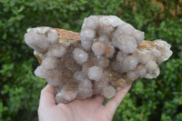 Natural Ametrine Spirit Quartz Cluster x 1 From Boekenhouthoek, South Africa