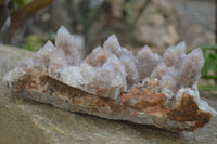 Natural Ametrine Spirit Quartz Cluster x 1 From Boekenhouthoek, South Africa