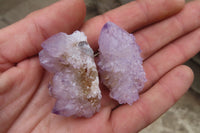 Natural Ametrine Spirit Quartz Crystals x 35 From Boekenhouthoek, South Africa