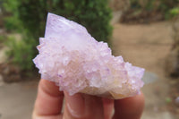 Natural Ametrine Spirit Quartz Crystals x 35 From Boekenhouthoek, South Africa