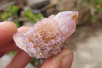 Natural Ametrine Spirit Quartz Crystals x 35 From Boekenhouthoek, South Africa