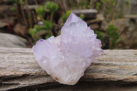 Natural Ametrine Spirit Quartz Crystals x 35 From Boekenhouthoek, South Africa