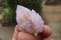 Natural Ametrine Spirit Quartz Crystals x 35 From Boekenhouthoek, South Africa