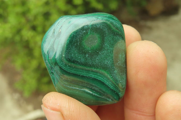 Polished Flower Banded Malachite Free Forms x 35 From Congo