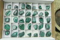 Polished Flower Banded Malachite Free Forms x 35 From Congo