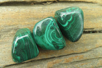 Polished Flower Banded Malachite Free Forms x 35 From Congo