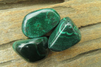 Polished Flower Banded Malachite Free Forms x 35 From Congo