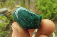 Polished Flower Banded Malachite Free Forms x 35 From Congo