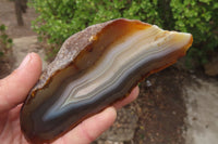 Polished On One Side Agate Nodules x 6 From Zimbabwe