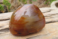 Polished On One Side Agate Nodules x 6 From Zimbabwe