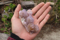 Natural Ametrine Spirit Quartz Clusters x 6 From Boekenhouthoek, South Africa