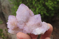 Natural Ametrine Spirit Quartz Clusters x 6 From Boekenhouthoek, South Africa