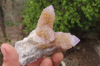 Natural Ametrine Spirit Quartz Clusters x 6 From Boekenhouthoek, South Africa