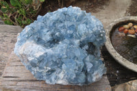 Natural Blue Celestite Geode Specimen x 1 From Sakoany, Madagascar