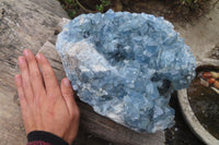 Natural Blue Celestite Geode Specimen x 1 From Sakoany, Madagascar