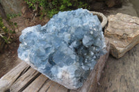 Natural Blue Celestite Geode Specimen x 1 From Sakoany, Madagascar