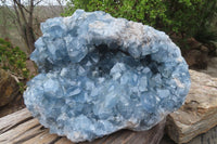 Natural Blue Celestite Geode Specimen x 1 From Sakoany, Madagascar