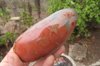 Polished Mixed Polychrome Jasper Items x 5 From Madagascar