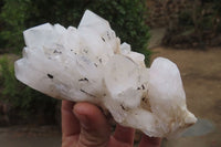 Natural Clear Quartz Clusters x 6 From Madagascar