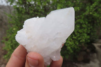 Natural Clear Quartz Clusters x 6 From Madagascar