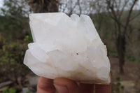 Natural Clear Quartz Clusters x 6 From Madagascar