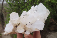 Natural Clear Quartz Clusters x 6 From Madagascar