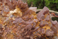 Natural Red Hematoid Quartz Clusters x 2 From Karoi, Zimbabwe