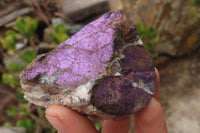 Natural Metallic Purpurite Cobbed Specimens x 6 From Erongo, Namibia