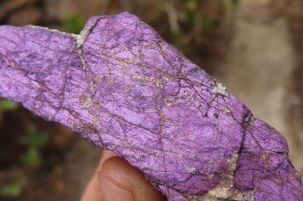 Natural Metallic Purpurite Cobbed Specimens x 6 From Erongo, Namibia