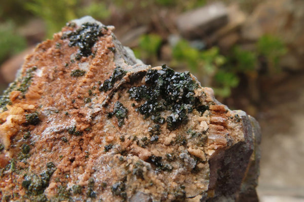 Natural Libethenite Crystals On Dolomite Matrix Specimens x 5 From Shituru, Congo