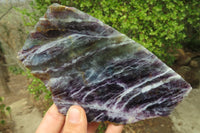 Polished Watermelon Fluorite Slices x 2 From Uis, Namibia