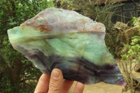 Polished Watermelon Fluorite Slices x 2 From Uis, Namibia