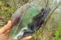 Polished Watermelon Fluorite Slices x 2 From Uis, Namibia