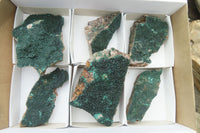 Natural Botryoidal Malachite Specimens x 6 From Congo