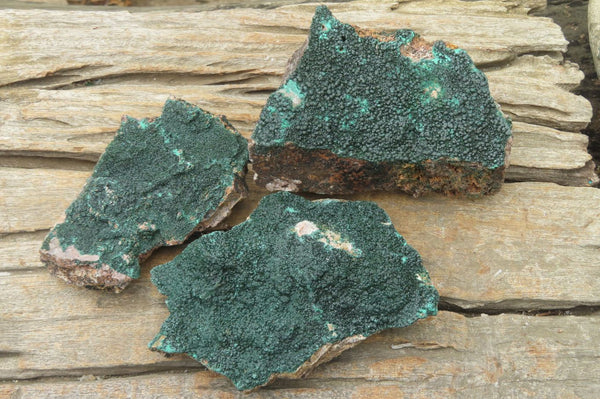 Natural Botryoidal Malachite Specimens x 6 From Congo